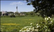arnhem vvbvanbree2441